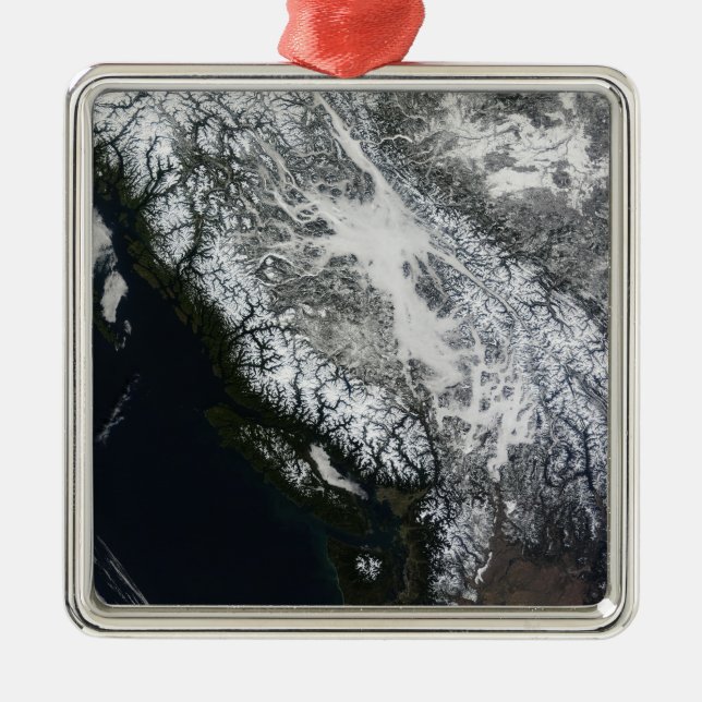 Nebel und Schnee in British Columbia Ornament Aus Metall (Vorne)