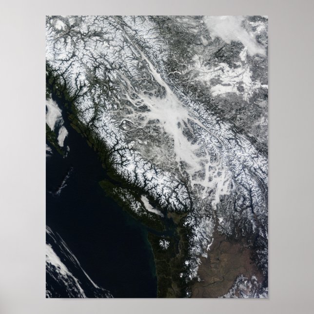 Nebel und Schnee in British Columbia Poster (Vorne)