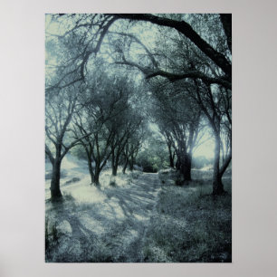 Nebel von Dämmerung Poster