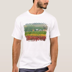 Nebel zaubert über Gehring Brothers Weingut geschm T-Shirt