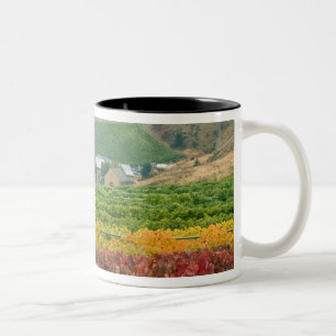 Nebel zaubert über Gehring Brothers Weingut geschm Zweifarbige Tasse