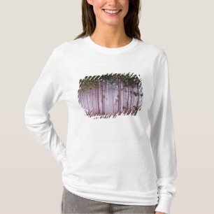 Nebel zwischen Kiefern bei Sonnenaufgang, Everglad T-Shirt