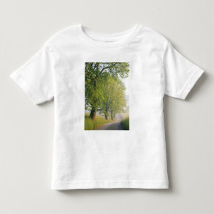 Nebelbedeckte Straße, Cades Cove, Great Smoky Kleinkind T-shirt
