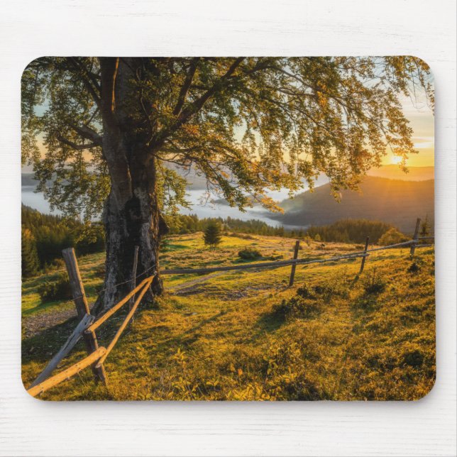 Nebelhafte Dämmerung in einem Wald Mousepad (Vorne)