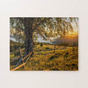 Nebelhafte Dämmerung in einem Wald Puzzle