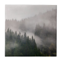 Nebelhafter Wald in den Bergen