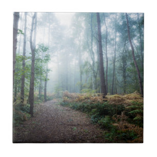Nebelhafter Waldweg Fliese