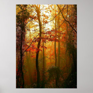 Nebelhaftes Herbst-Morgen-Plakat Poster