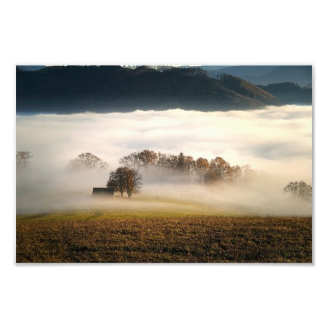 Nebelhalde auf der Wiese Fotodruck (Vorne)