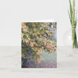 Nebeliger Herbst-Tag Notecard Karte