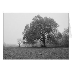 Nebeliger Herbstmorgen Graustufen