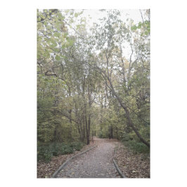 Nebeliger Herbstwaldweg Fotodruck