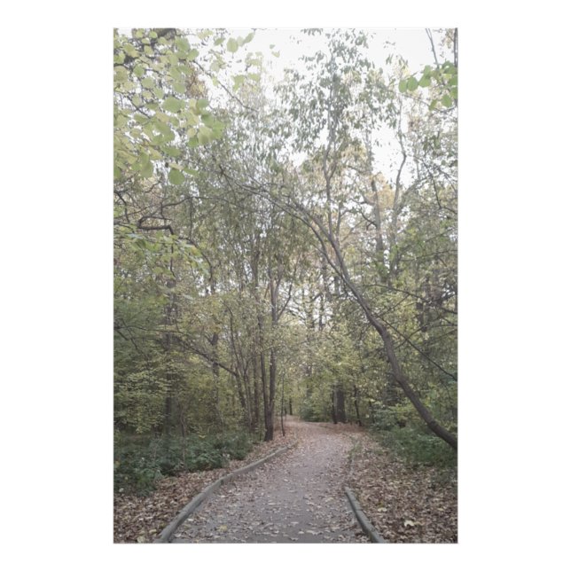 Nebeliger Herbstwaldweg Fotodruck (Vorne)