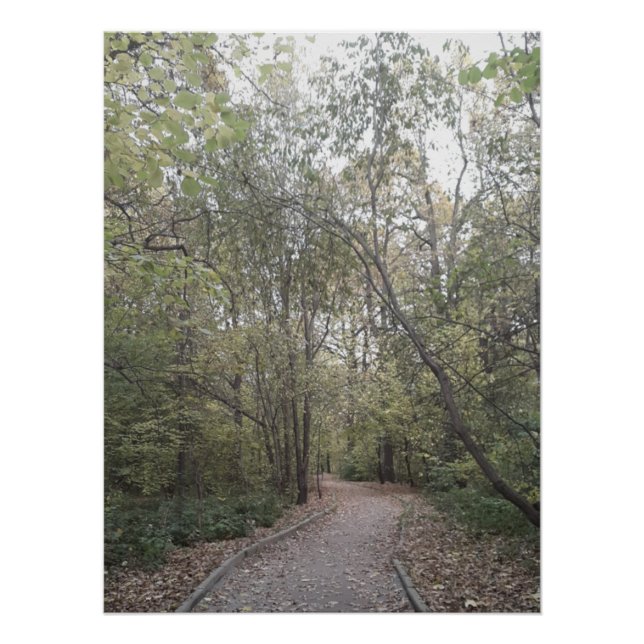 Nebeliger Herbstwaldweg Poster (Vorderseite)