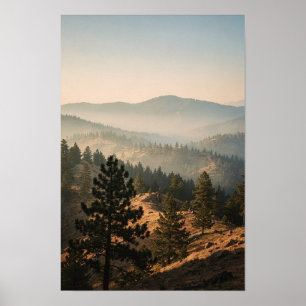 Nebeliger Kiefernkamm am Morgen Landschaftsposter Poster