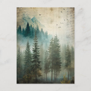 Nebeliger Kiefernwald-Natur-Abenteuer  Postkarte