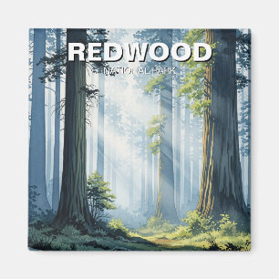Nebeliger Morgen im Redwood National Park Magnet
