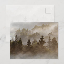Nebeliger Morgen im Tal Postkarte