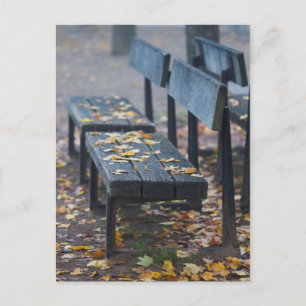 Nebeliger Morgen Parkbank, Deutschland Postkarte