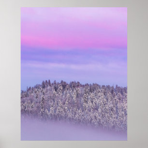 Nebeliger, schneebedeckter Fichtenwald bei Sonnenu Poster