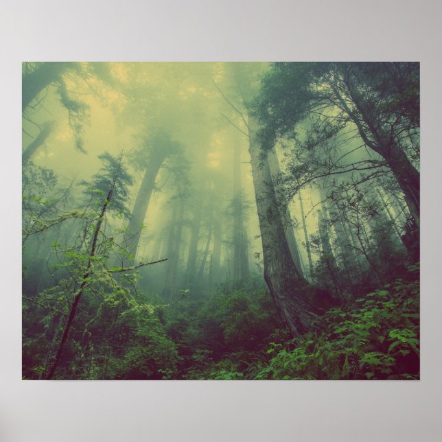 Nebeliger Wald Poster (Vorne)