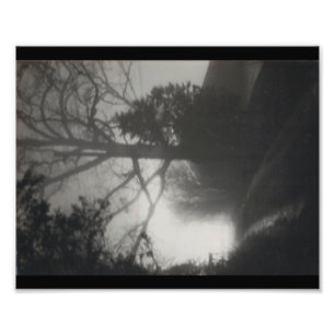 Nebeliger Weg Fotodruck