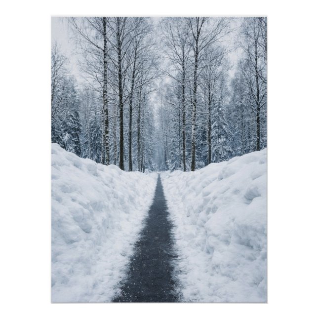 Nebeliger Winterwaldweg Winterlandschaft Poster (Vorderseite)