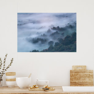 Nebelmorgendliche durch Bäume rollen Poster