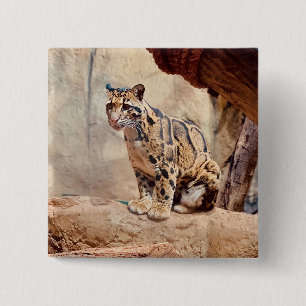 Nebelparder Bild Natur Wildleben exotisch Button