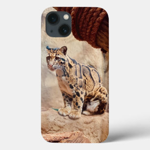 Nebelparder Bild Natur Wildleben exotisch Case-Mate iPhone Hülle