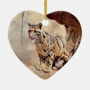 Nebelparder Bild Natur Wildleben exotisch Keramik Ornament
