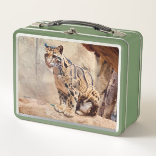 Nebelparder Bild Natur Wildleben exotisch Metall Brotdose