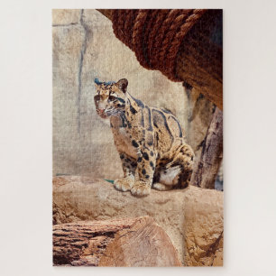 Nebelparder Bild Natur Wildleben exotisch Puzzle