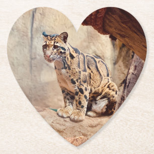 Nebelparder Bild Natur Wildleben exotisch Untersetzer