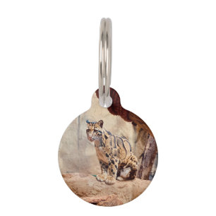 Nebelparder Bild Natur Wildtiere exotisch Haustiermarke