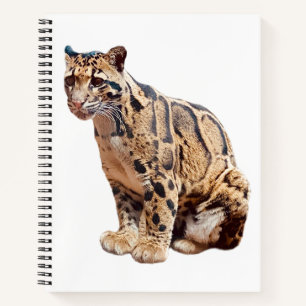 Nebelparder-Foto Dschungel große Katze Tier Notizbuch