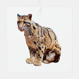 Nebelparder-Foto Dschungel große Katze Tier Ornament Aus Metall