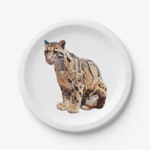 Nebelparder-Foto Dschungel große Katze Tier   Pappteller