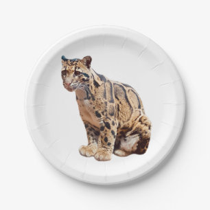 Nebelparder-Foto Dschungel große Katze Tier Pappteller