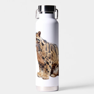 Nebelparder-Foto Dschungel Großkatze Tier Trinkflasche