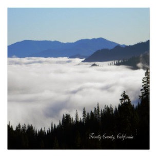 Nebelsee durch Bäume... Poster