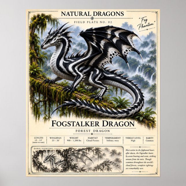 Nebelstalker-Feldplatte Poster (Vorne)