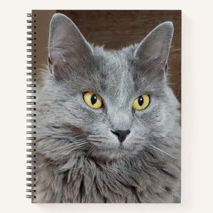 Nebelung Long-Hairs Russian Blue Cat Notebook Notizbuch