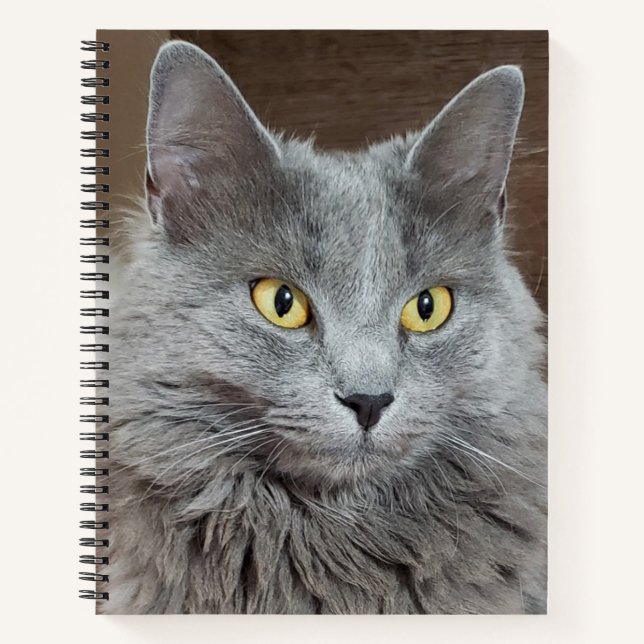Nebelung Long-Hairs Russian Blue Cat Notebook Notizbuch (Vorderseite)