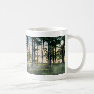 Nebelverhangene Bäume bei Table Rock Kaffeetasse
