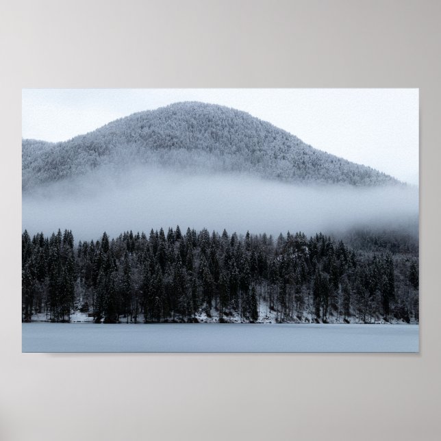 Nebelwald Poster (Vorne)