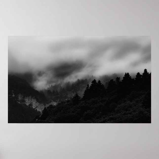 Nebelwald Poster (Vorne)