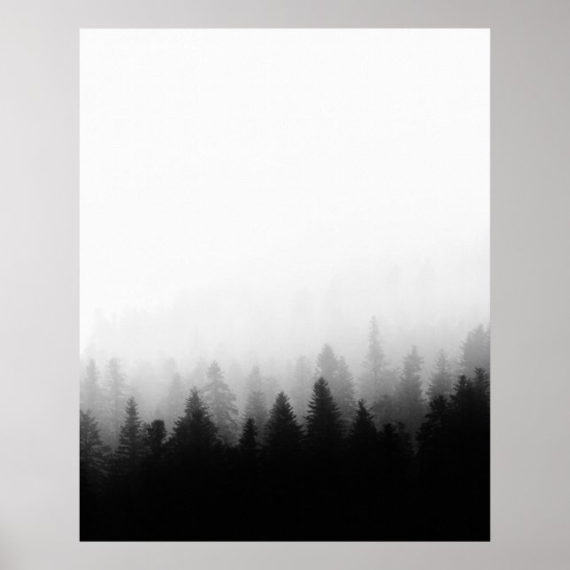 Nebelwald Poster (Vorne)