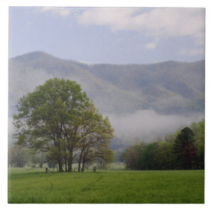 Nebelwiese und Rich Mountain, Cades Cove, Fliese
