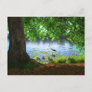 Neben der Standwasser-Postkarte Postkarte
